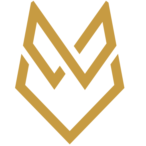 DriveX
